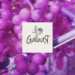 Galluar