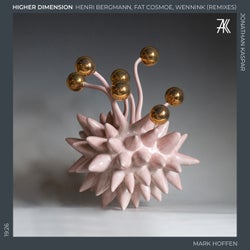 Higher Dimension (Remixes)