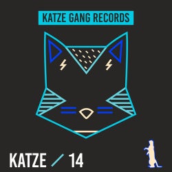 Katze 14