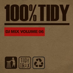 100%% Tidy, Vol. 6