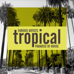 Tropical Paradise Of House