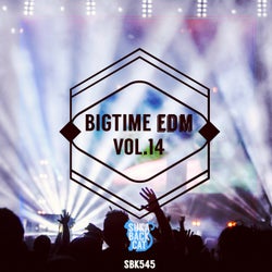 Bigtime EDM, Vol. 14