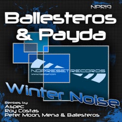 Winter Noise