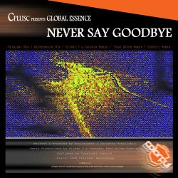 Never Say Goodbye