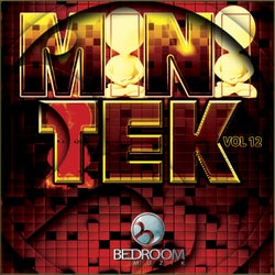 Mini Tek Vol 12