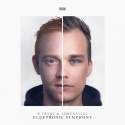 Electronic Symphony