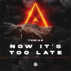 Now It's Too Late (Extended Mix)