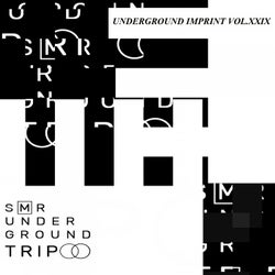 UndergrounD TriP Vol.XXIX