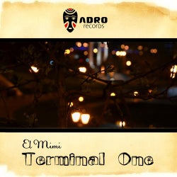 Terminal One