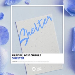 Shelter (Extended Mix)