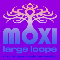 Moxi Large Loops Volume 9