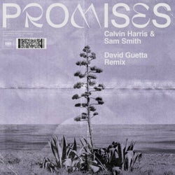 Promises (David Guetta Extended Remix)