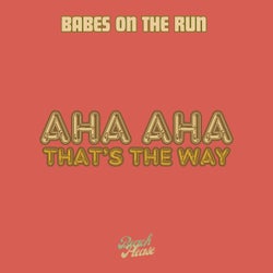 Aha Aha ( That's the way ) (Original Mix)