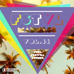 FSTVL Madness Vol. 14 - Pure Festival Sounds