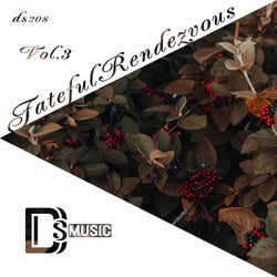 Fateful Rendezvous, Vol. 3