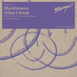 MaxiGroove + What I Want