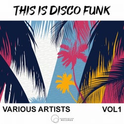 This Is Disco Funk, Vol. 1