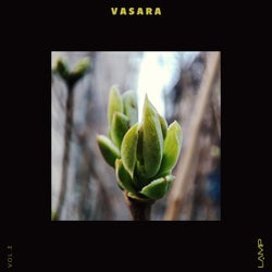 Vasara, Vol. 3