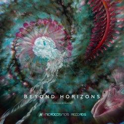 Beyond Horizons