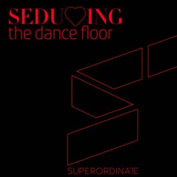 Seducing the Dancefloor, Vol. 13