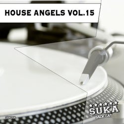 House Angels, Vol. 15