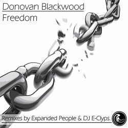 Freedom Remixes