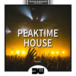 Peaktime House, Vol. 1