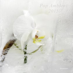 Pop Ambient 2015