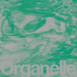 Organelle