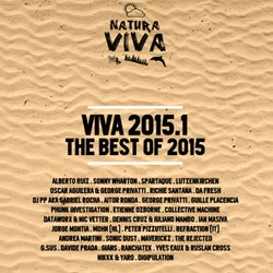 Viva 2015.1