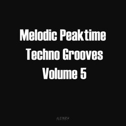 Melodic Peaktime Techno Grooves Vol.