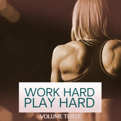 Work Hard Play Hard, Vol. 3 (Work Like A Boss, Party Like A Rockstar. Finest In Modern Big Room And Electro House)