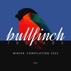 Bullfinch Winter 2025 Compilation