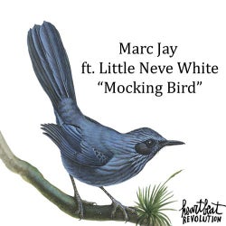 Mocking Bird