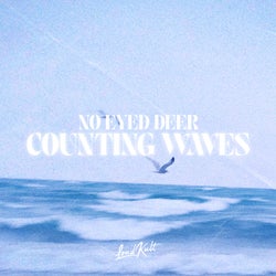 Counting Waves