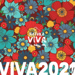 Viva 2021.1