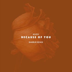 Because of You (Barbur Remix)