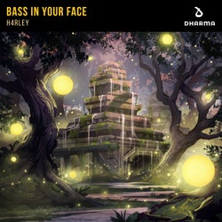 Bass In Your Face (Extended Mix)