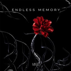 Endless Memory