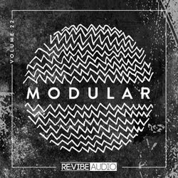 Modular, Vol. 22