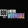 Wormhole