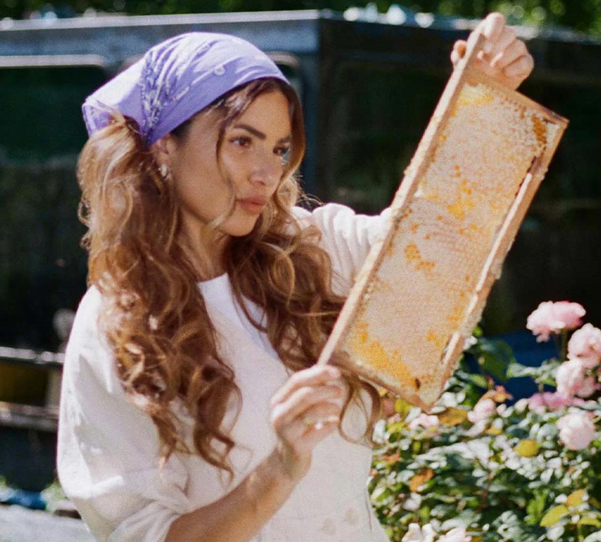 Negin in the Mirsalehi Bee Garden looking at a honeycomb