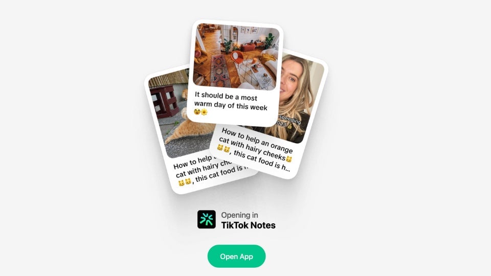 Screenshot: TikTok Notes