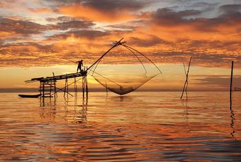 La ONU apoya en Tailandia la agricultura sostenible, incluido el sector pesquero.