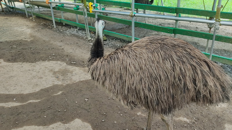 掛川花鳥園2　15