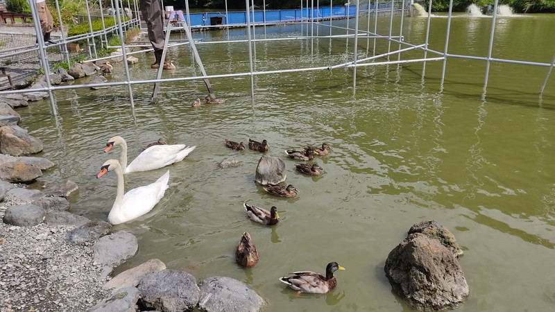 掛川花鳥園2　17