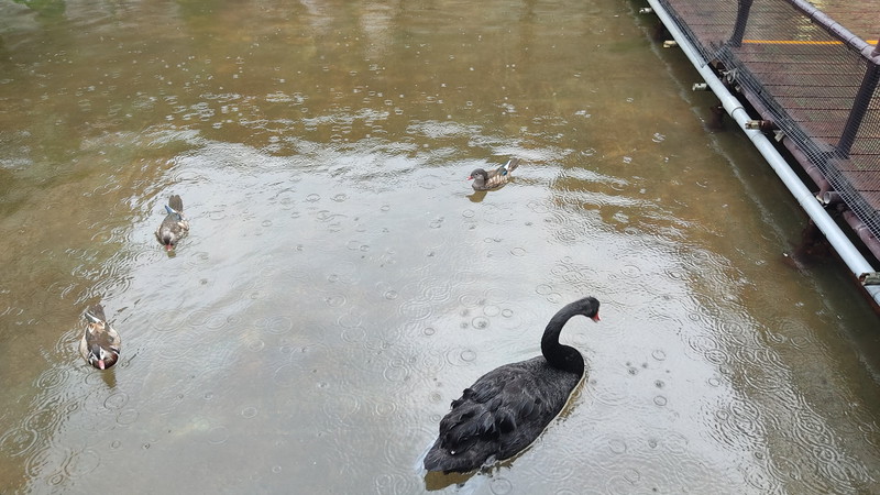 掛川花鳥園2　20