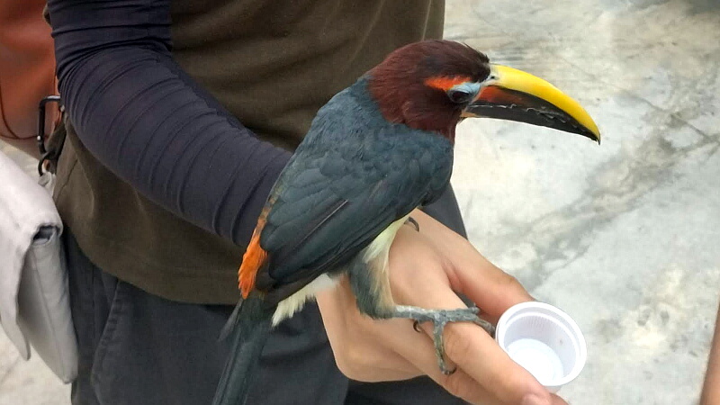 掛川花鳥園3　4