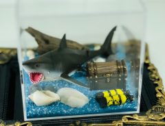 消臭ビーズを容器の中に入れて水を注ぐと？　驚きの変化に「感動しすぎて言葉が出ない」