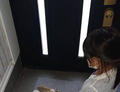 一体何を！？　玄関に座る娘の様子に「厳かに執り行われている…」